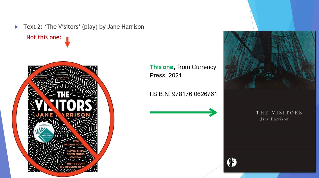 The Visitors - Jane Harrison