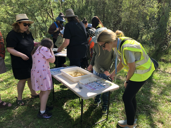Primary_Darebin Parklands